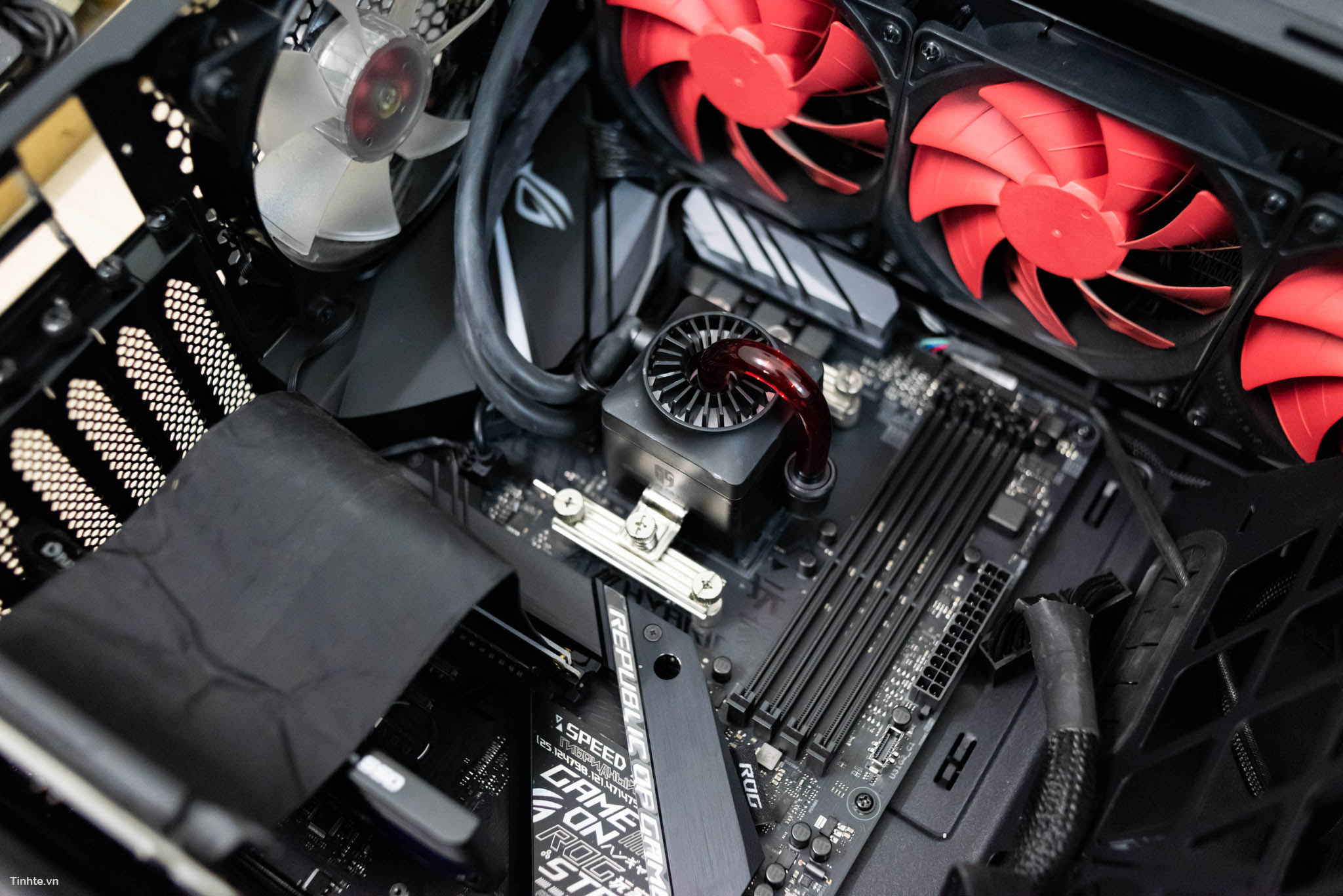 fe62ff380f89ca33e1cd.jpg