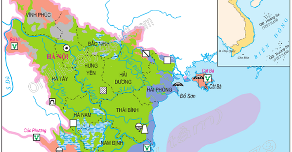 fe6b1ef67640f6fedb08.png