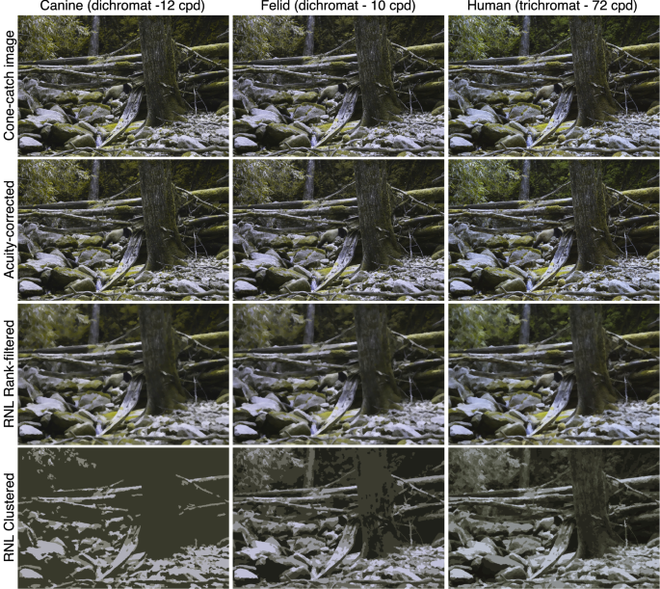fe6e3025b1121e1476c7.png