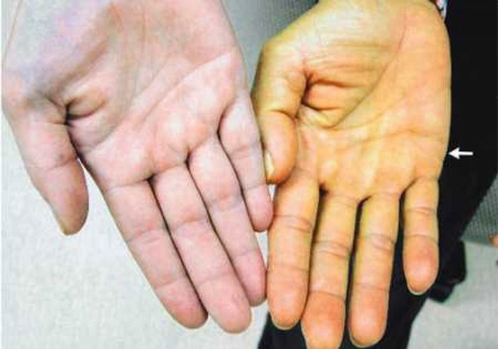 fec0dbeda04bceb81cef.jpg