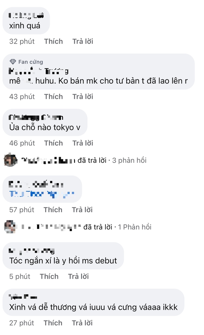 ff13cc8c0eb5a4eadb67.jpg