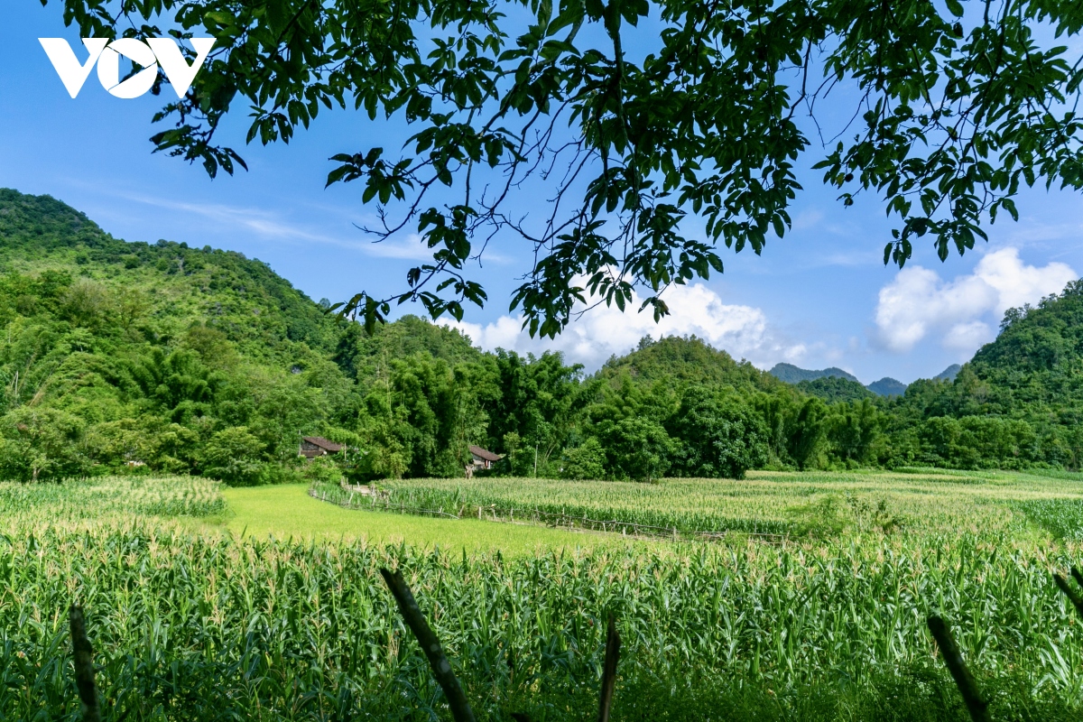 ff5889b23de048a56488.jpg