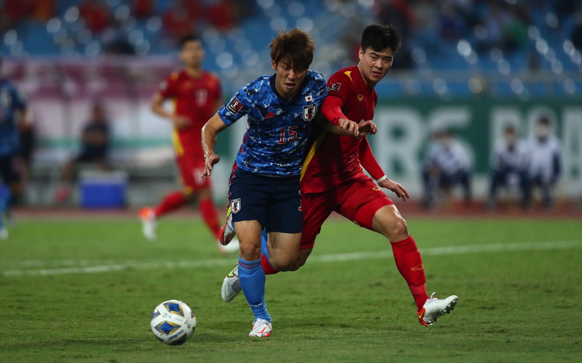 ff863588efa685443a5c.jpg