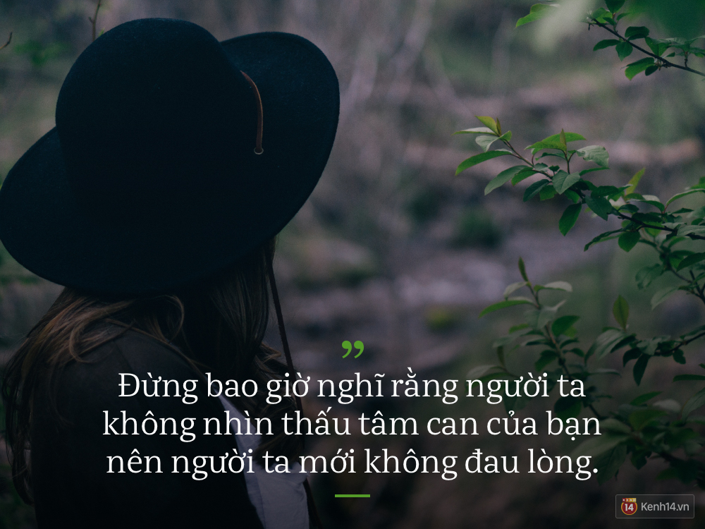 ff974b422e873fd2b7dd.jpg