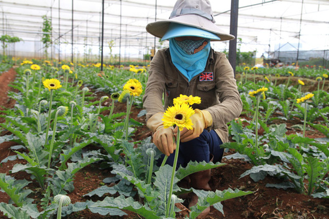 ffa87e235ebe506597c0.jpg