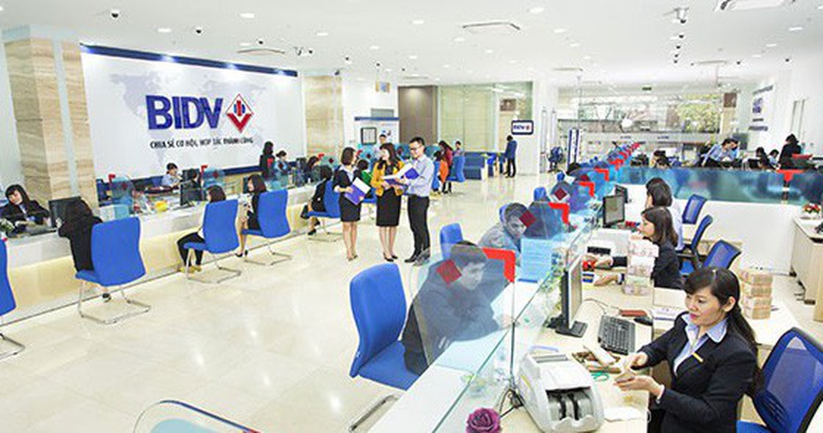 ffc181116cccc5ab25fb.jpg