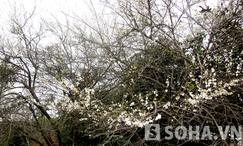 ffe064bfbe2e68c48c71.jpg