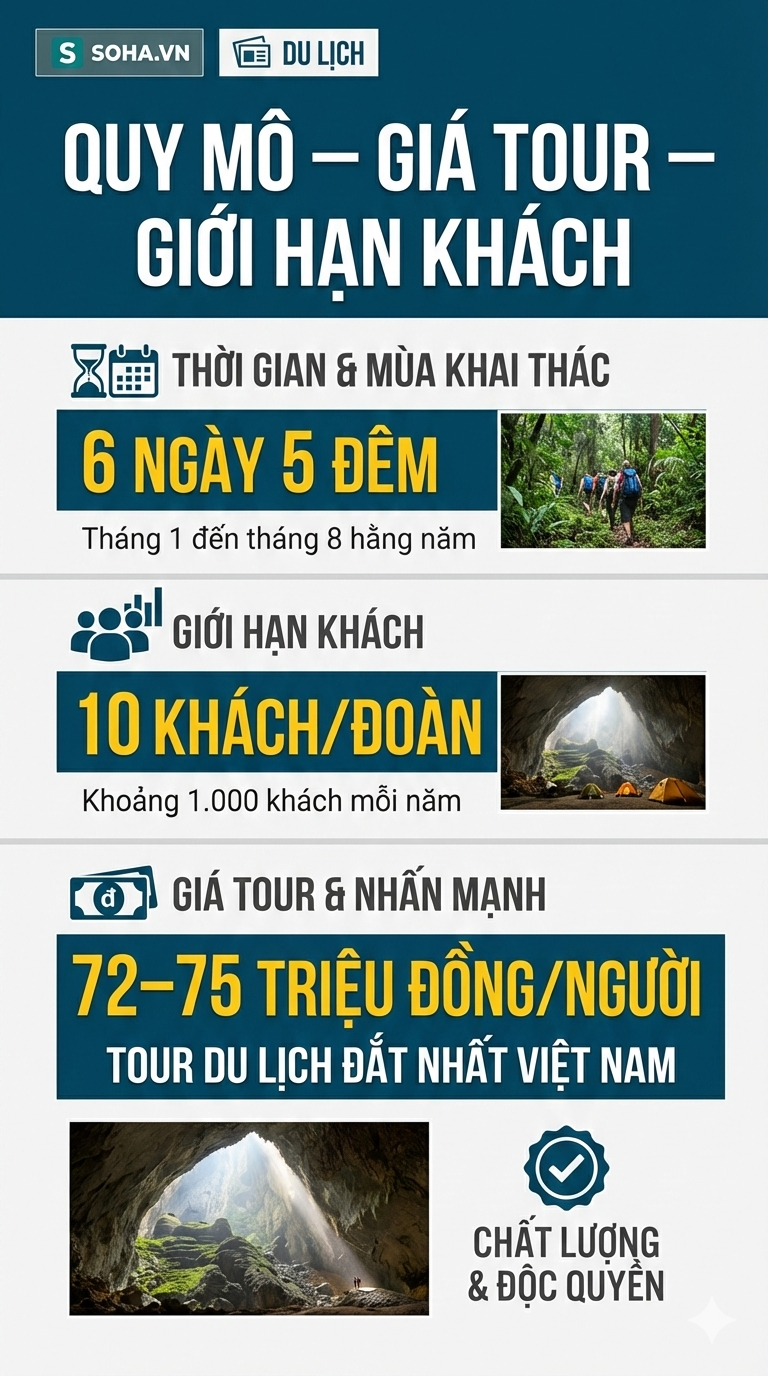ffeb131fca478d99fd5d.png