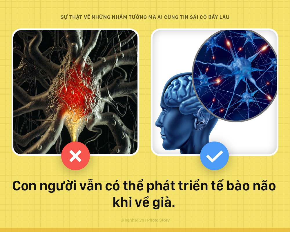 fff0f62395700c8b3610.jpg